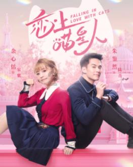 懒惰男孩拯救